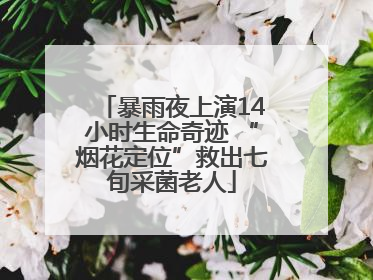 暴雨夜上演14小时生命奇迹 “烟花定位”救出七旬采菌老人