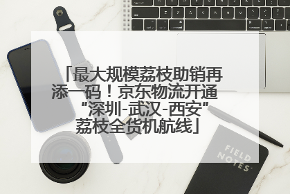 最大规模荔枝助销再添一码！京东物流开通“深圳-武汉-西安” 荔枝全货机航线
