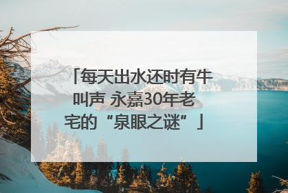 每天出水还时有牛叫声 永嘉30年老宅的“泉眼之谜”