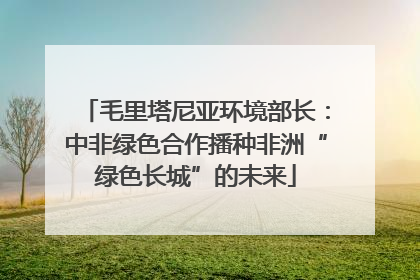 毛里塔尼亚环境部长：中非绿色合作播种非洲“绿色长城”的未来