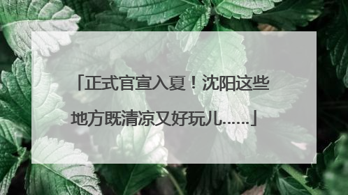 正式官宣入夏！沈阳这些地方既清凉又好玩儿……