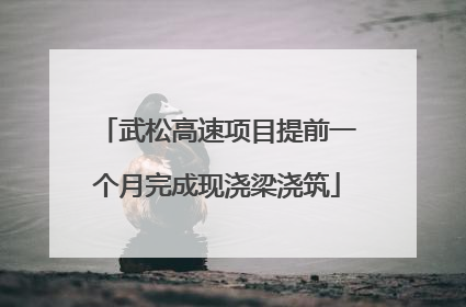 武松高速项目提前一个月完成现浇梁浇筑