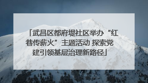 武昌区都府堤社区举办“红巷传薪火”主题活动 探索党建引领基层治理新路径