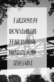 武汉经开区军山街道开展节前环境综合大整治行动
