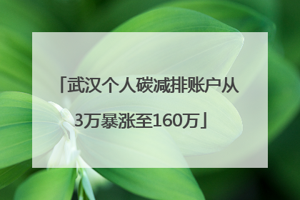武汉个人碳减排账户从3万暴涨至160万