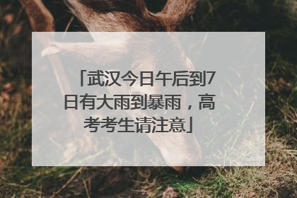 武汉今日午后到7日有大雨到暴雨，高考考生请注意