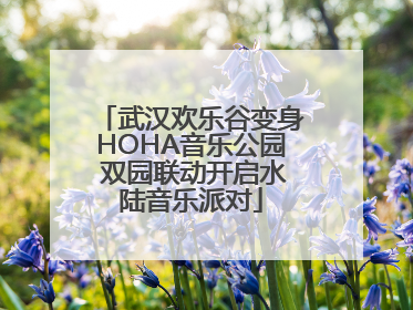武汉欢乐谷变身HOHA音乐公园 双园联动开启水陆音乐派对