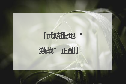 武陵腹地“激战”正酣