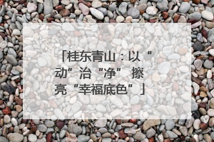 桂东青山：以“动”治“净” 擦亮“幸福底色”