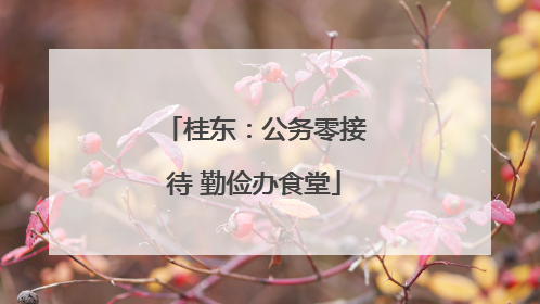 桂东：公务零接待 勤俭办食堂