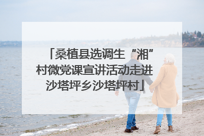 桑植县选调生“湘”村微党课宣讲活动走进沙塔坪乡沙塔坪村