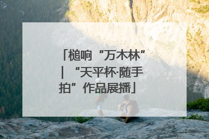 槌响“万木林”｜“天平杯·随手拍”作品展播