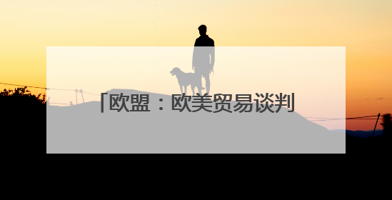 欧盟：欧美贸易谈判前景面临不确定性