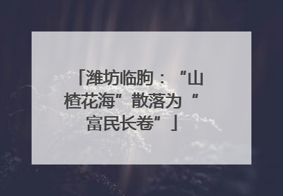 潍坊临朐：“山楂花海”散落为“富民长卷”