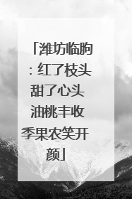 潍坊临朐：红了枝头 甜了心头 油桃丰收季果农笑开颜