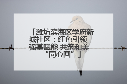 潍坊滨海区学府新城社区：红色引领 强基赋能 共筑和美“同心圆”