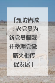 潍坊诸城：老党员为新党员佩戴并整理党徽 薪火相传促发展