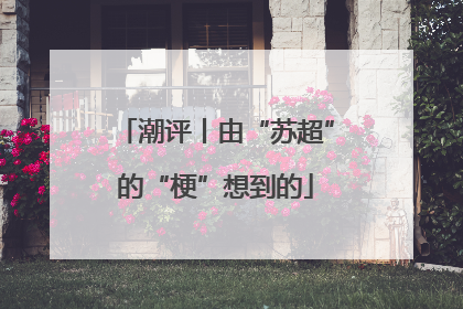 潮评丨由“苏超”的“梗”想到的