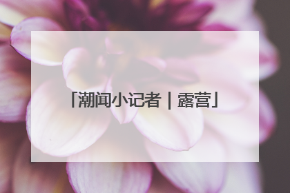 潮闻小记者｜露营