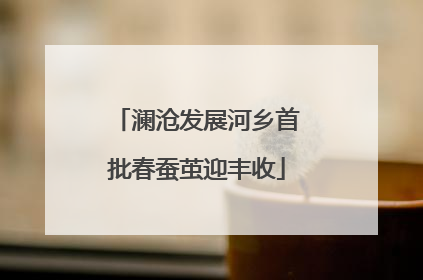 澜沧发展河乡首批春蚕茧迎丰收