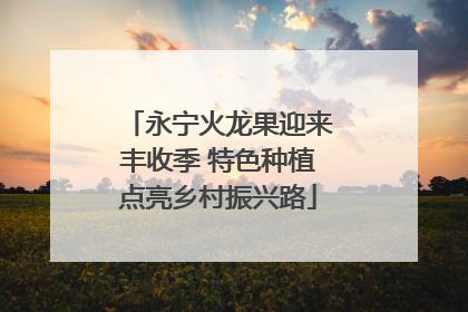 永宁火龙果迎来丰收季 特色种植点亮乡村振兴路