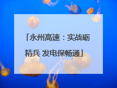 永州高速：实战砺精兵 发电保畅通