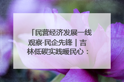 民营经济发展一线观察·民企先锋｜吉林低碳实践暖民心：太阳能供暖技术为北方清洁取暖破局