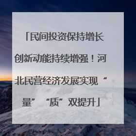 民间投资保持增长 创新动能持续增强！河北民营经济发展实现“量”“质”双提升