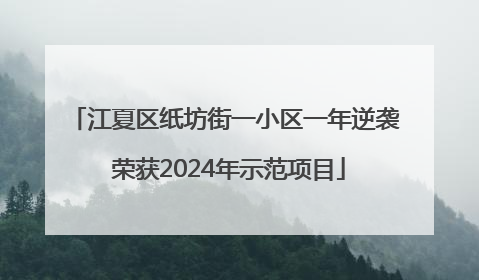 江夏区纸坊街一小区一年逆袭 荣获2024年示范项目