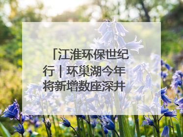 江淮环保世纪行｜环巢湖今年将新增数座深井控藻平台