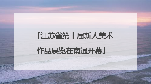 江苏省第十届新人美术作品展览在南通开幕
