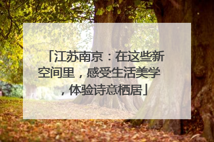 江苏南京：在这些新空间里，感受生活美学，体验诗意栖居