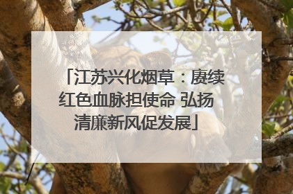 江苏兴化烟草：赓续红色血脉担使命 弘扬清廉新风促发展
