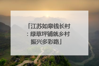 江苏如皋钱长村：绿草坪铺就乡村振兴多彩路