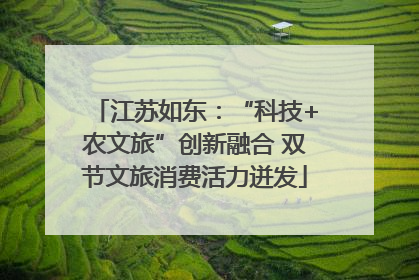 江苏如东：“科技+农文旅”创新融合 双节文旅消费活力迸发