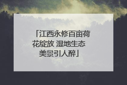 江西永修百亩荷花绽放 湿地生态美景引人醉