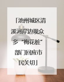 池州城区清溪河岸边现众多“梅花桩” 部门回应市民关切