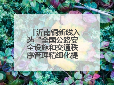 沂南铜新线入选“全国公路安全设施和交通秩序管理精细化提升精品工程”