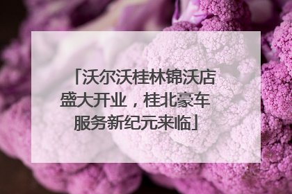 沃尔沃桂林锦沃店盛大开业，桂北豪车服务新纪元来临