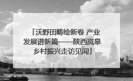 沃野田畴绘新卷 产业发展谱新篇——陕西岚皋乡村振兴走访见闻