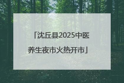 沈丘县2025中医养生夜市火热开市