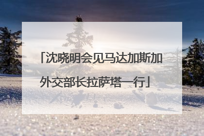 沈晓明会见马达加斯加外交部长拉萨塔一行