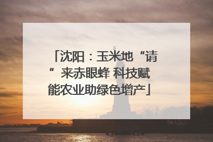 沈阳：玉米地“请”来赤眼蜂 科技赋能农业助绿色增产