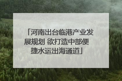河南出台临港产业发展规划 欲打造中部便捷水运出海通道