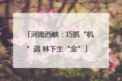 河南西峡：巧抓“机”遇 林下生“金”