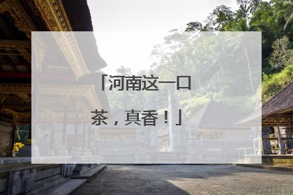 河南这一口茶，真香！