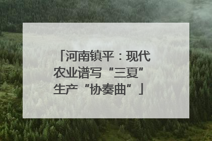 河南镇平：现代农业谱写“三夏”生产“协奏曲”
