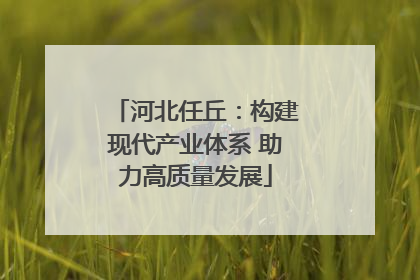 河北任丘：构建现代产业体系 助力高质量发展
