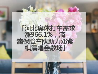 河北奥体打车需求涨966.1%，滴滴保障车队助力邓紫棋演唱会散场