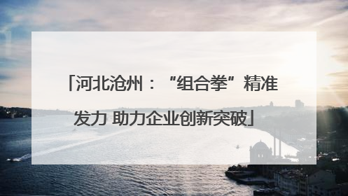 河北沧州：“组合拳”精准发力 助力企业创新突破